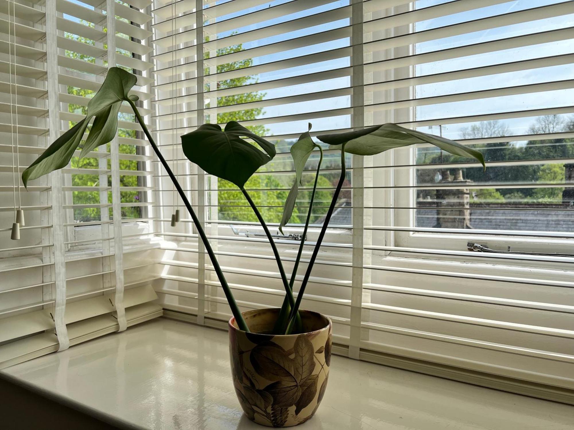 Top Floor Double En-Suite Br Apartment Central Matlock Matlock  Buitenkant foto